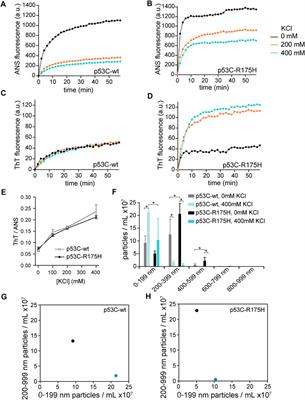 Relevance of Amorphous and Amyloid-Like Aggregates of the p53 Core Domain to Loss of its DNA-Binding Activity